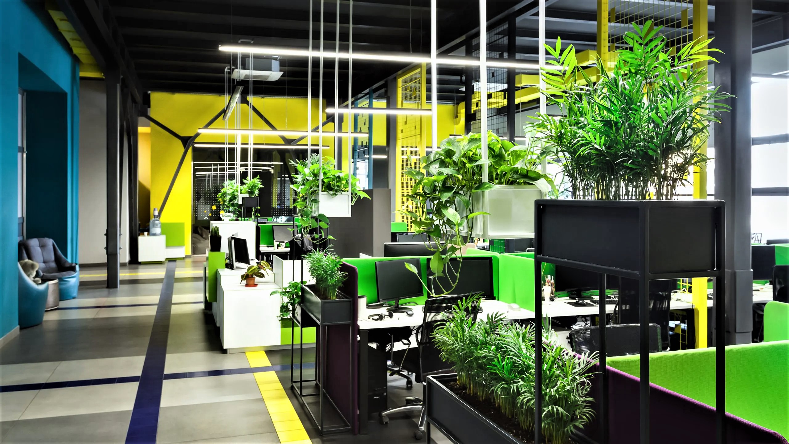 The Role of Biophilic Interior Design in the Office Environment | KSA