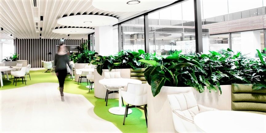 The Role Of Biophilic Interior Design In The Office Environment Ksa