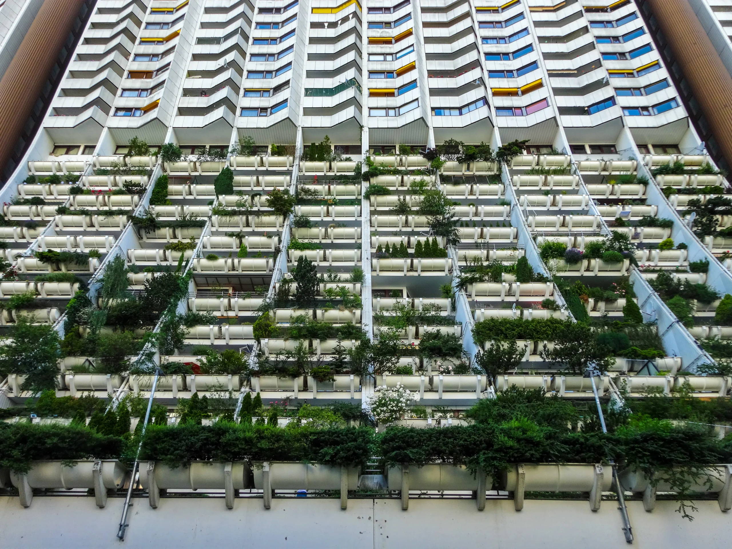 sustainability leed — House of Ci