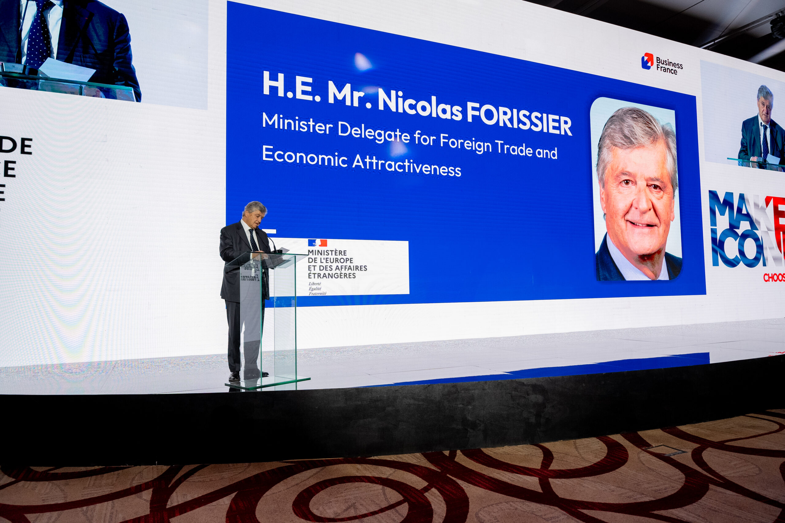 A minister addressing the plenary
